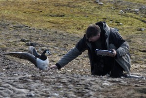 checking nests